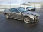 Lot #3033168243 2002 FORD MUSTANG