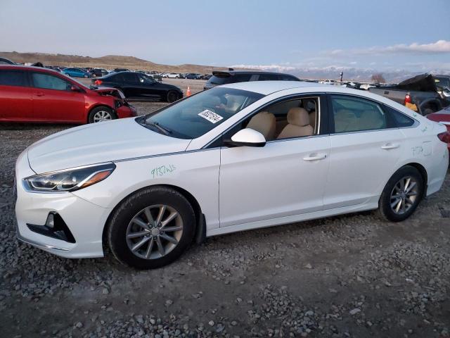 VIN 5NPE24AF7KH792857 2019 HYUNDAI SONATA no.1