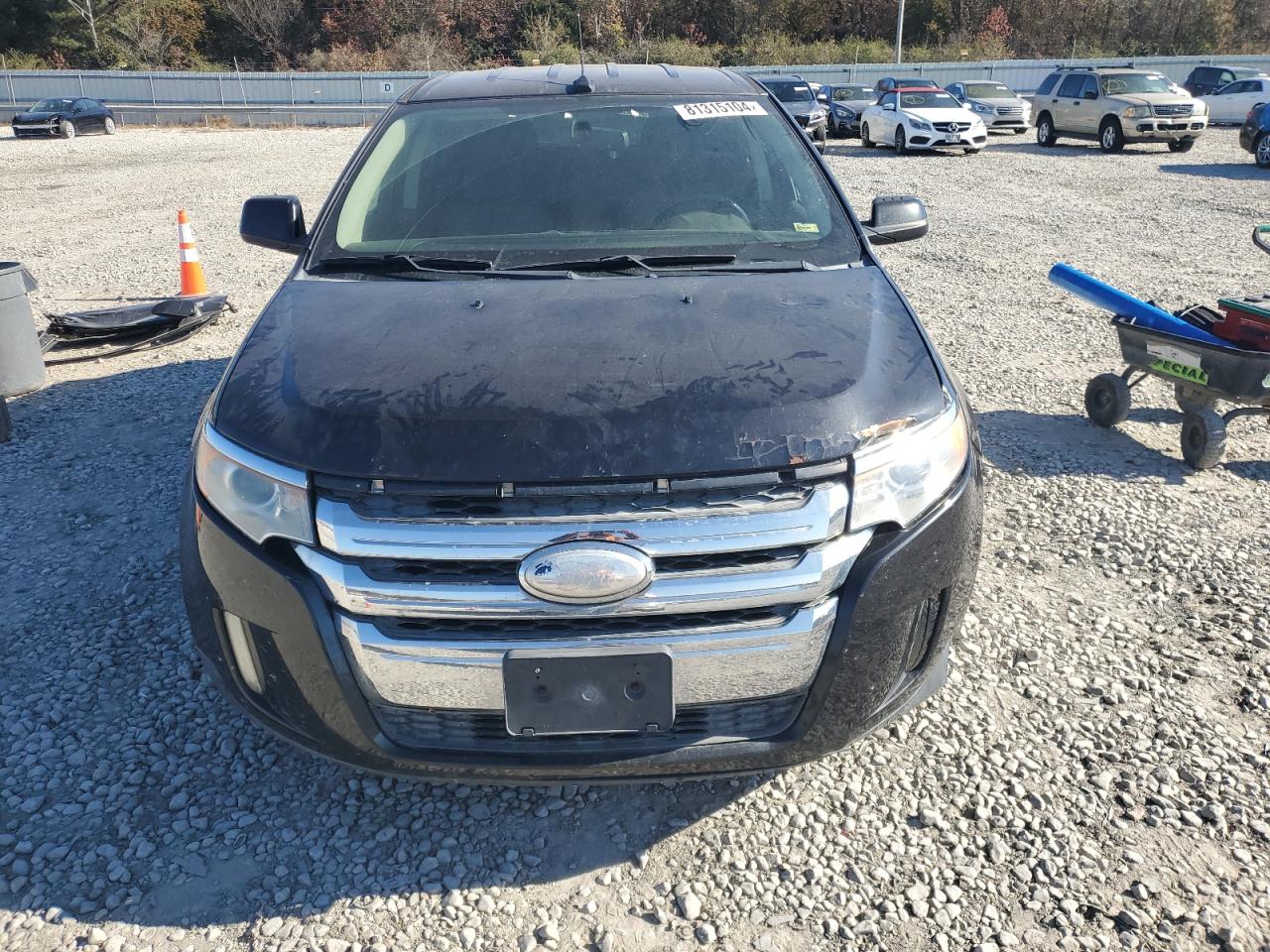 Lot #3022946080 2013 FORD EDGE SEL