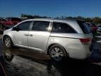 Lot #3032487230 2015 HONDA ODYSSEY EX