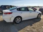 Lot #3028862062 2018 KIA OPTIMA LX