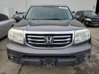 Lot #3032906025 2014 HONDA PILOT EXL