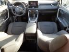 Lot #3025027207 2023 TOYOTA RAV4 LE