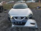 Lot #3027158337 2016 NISSAN MAXIMA 3.5