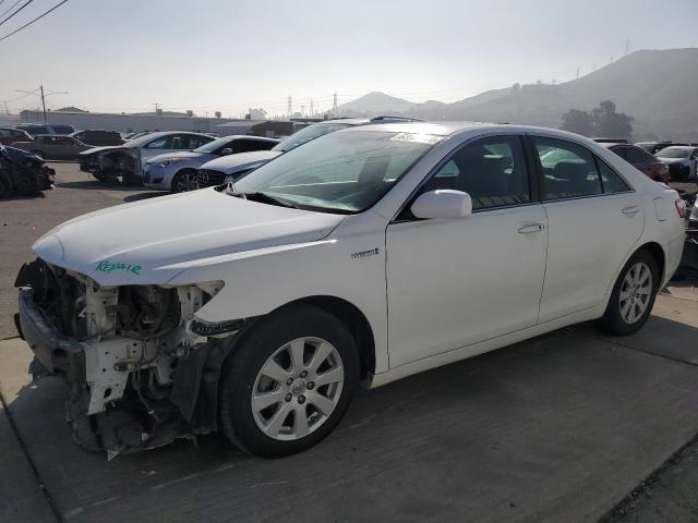 2009 TOYOTA CAMRY HYBR #3025699307