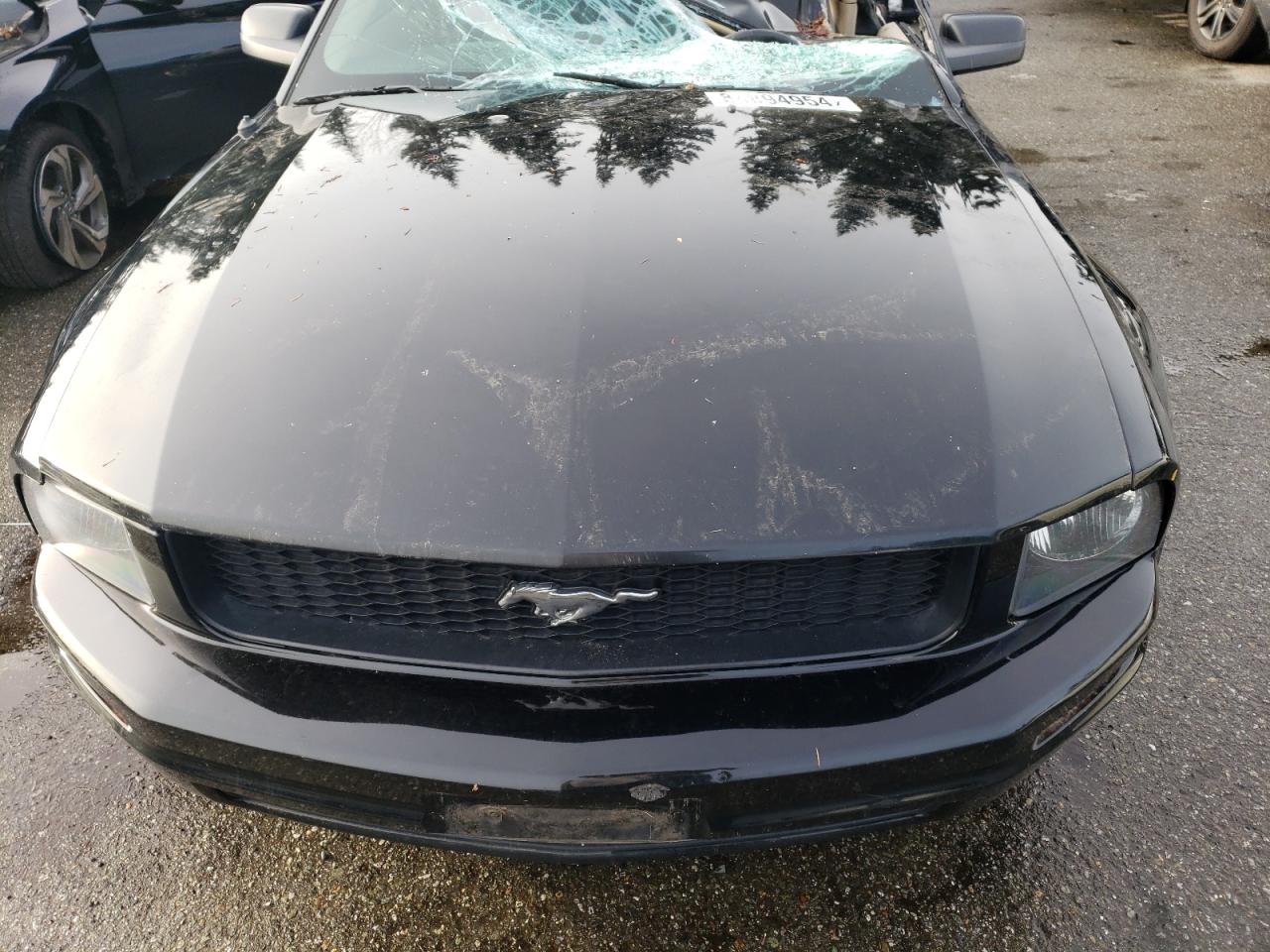 Lot #3045593672 2005 FORD MUSTANG