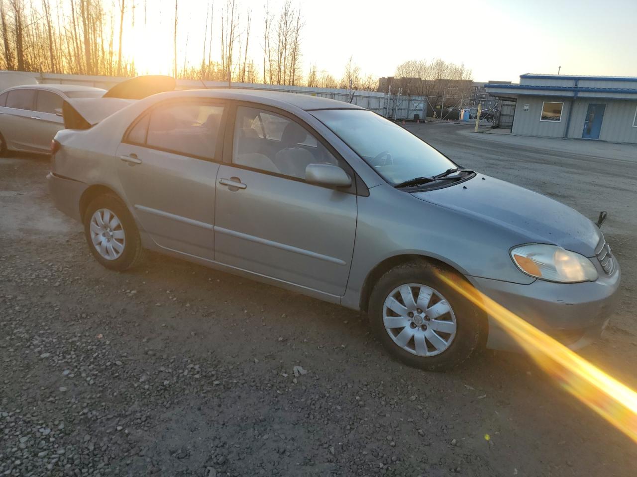 Lot #3029800250 2004 TOYOTA COROLLA CE