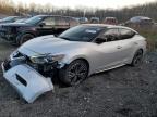 Lot #3027158337 2016 NISSAN MAXIMA 3.5