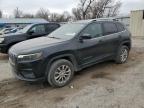2019 JEEP CHEROKEE L - 1C4PJMCX3KD127526