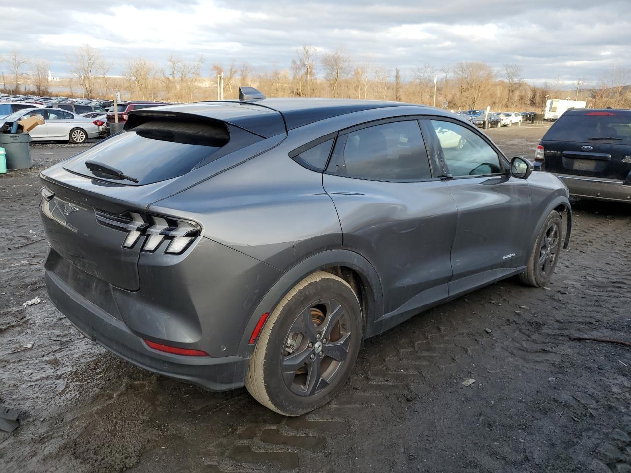 Lot #3052494136 2021 FORD MUSTANG MA