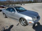 Lot #3025036199 2002 MERCEDES-BENZ CLK 430