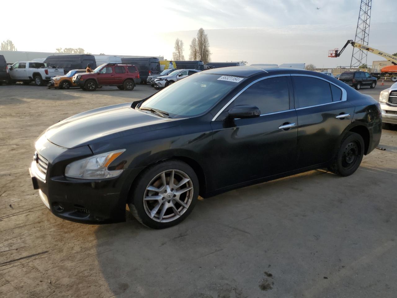 Lot #3030815513 2013 NISSAN MAXIMA S