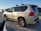 Lot #3025222838 2010 LEXUS GX 460