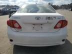 Lot #3023940242 2010 TOYOTA COROLLA BA