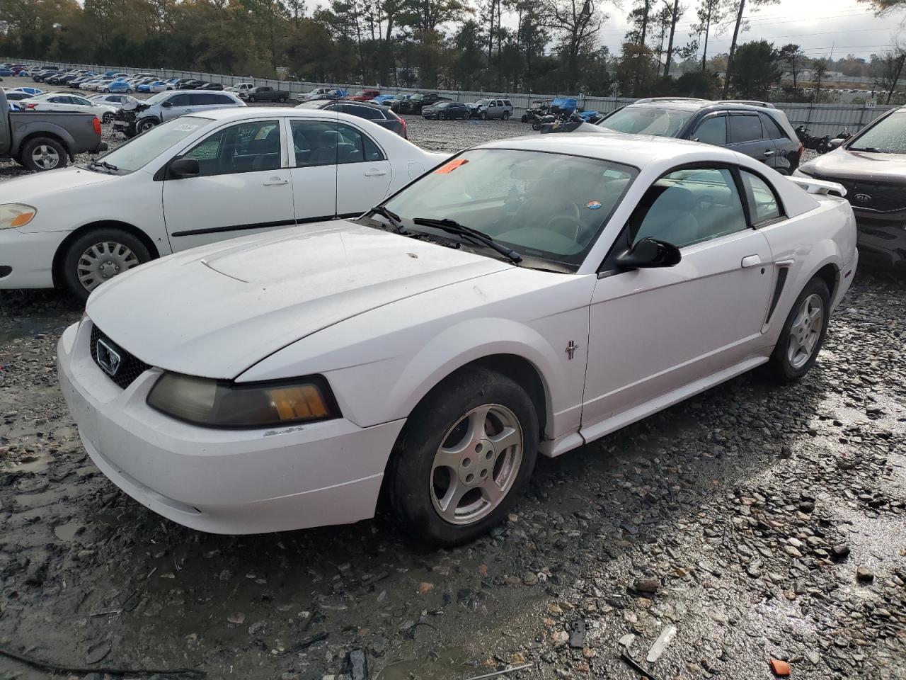 Lot #3024489526 2003 FORD MUSTANG