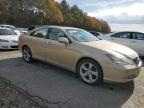 Lot #3028260809 2007 LEXUS ES 350