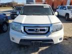 HONDA PILOT EXL photo