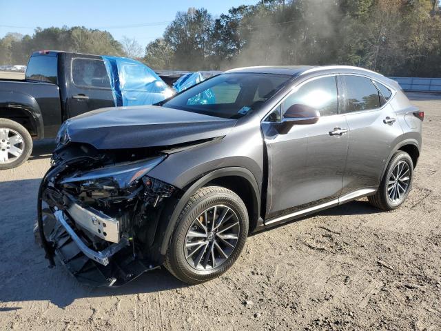 2025 LEXUS NX 250 PRE