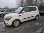 Lot #3027240336 2012 KIA SOUL