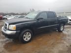 Lot #3034555768 2005 DODGE DAKOTA QUA