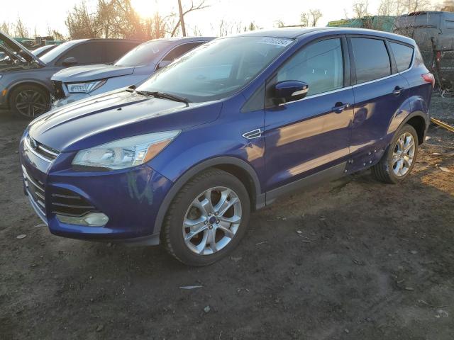 Vin: 1fmcu0h99dud71222, lot: 83762254, ford escape sel 2013 img_1