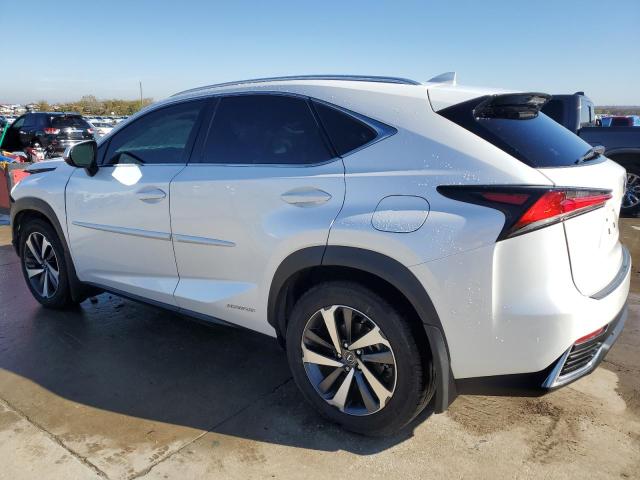 2019 LEXUS NX 300H - JTJBJRBZ7K2114913