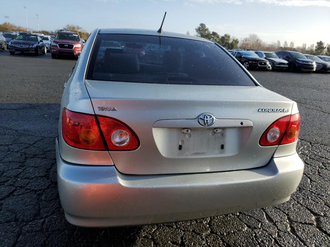 Lot #3028246831 2003 TOYOTA COROLLA CE