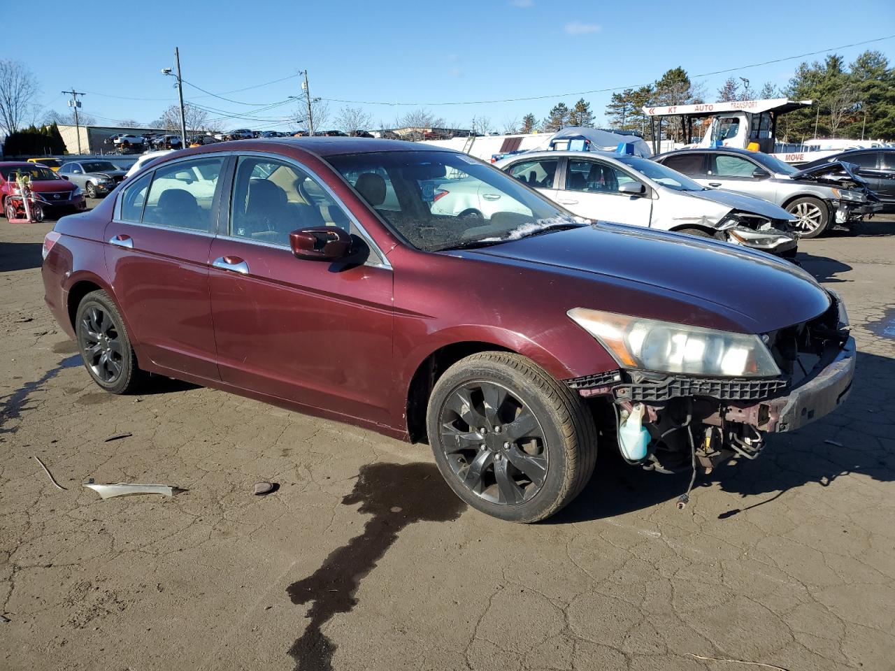 Lot #3033010046 2008 HONDA ACCORD EXL