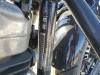 Lot #3027119827 2020 HARLEY-DAVIDSON XL1200 X