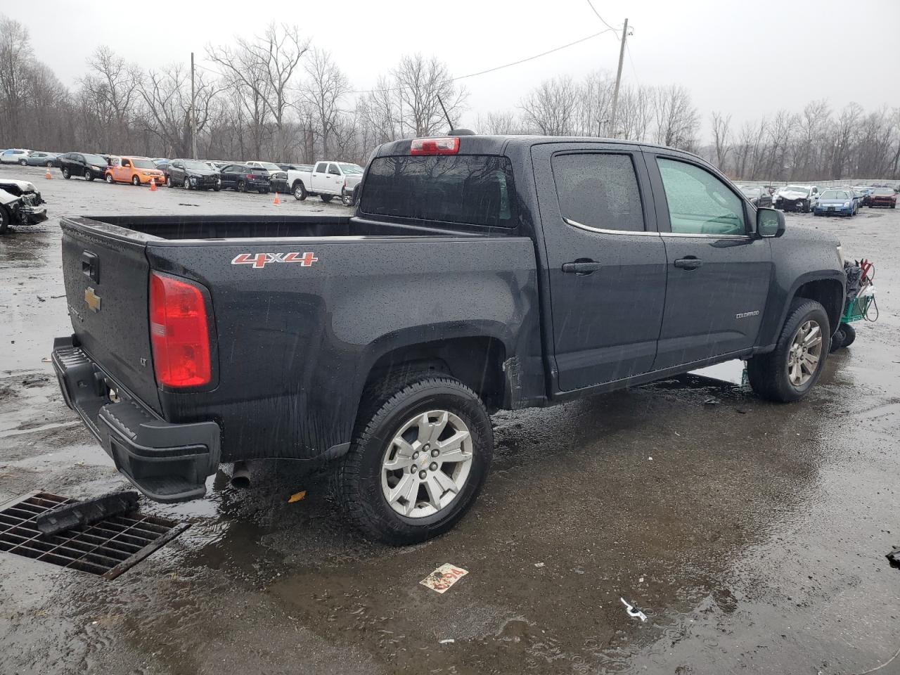 Lot #3034280123 2019 CHEVROLET COLORADO L