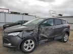 2016 FORD ESCAPE SE - 1FMCU0G72GUC80815