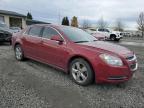 Lot #3030916530 2010 CHEVROLET MALIBU 2LT