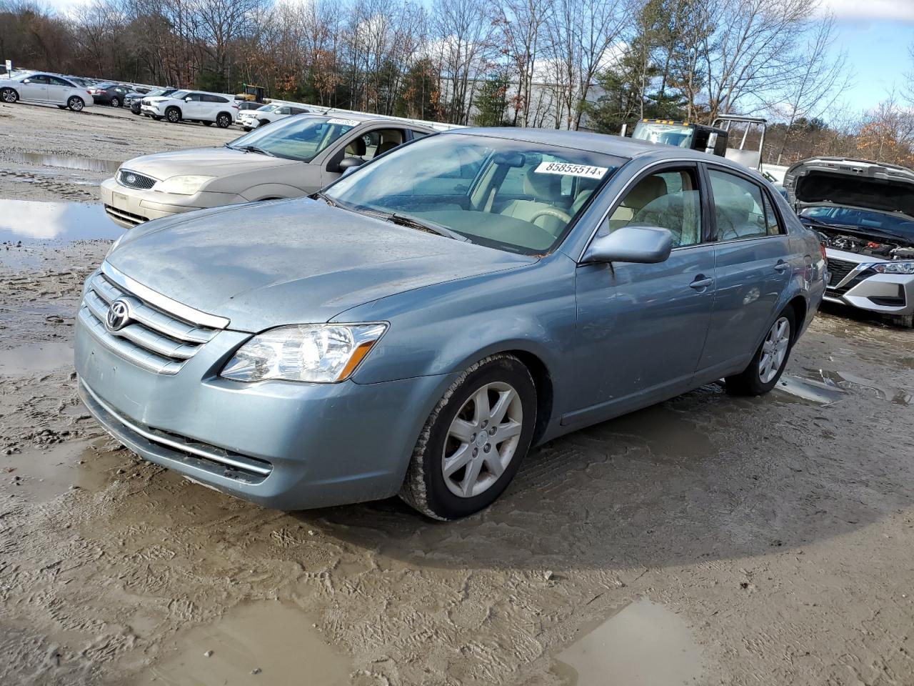 Lot #3030663102 2006 TOYOTA AVALON