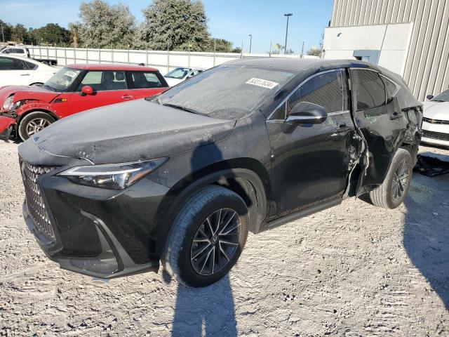 2024 LEXUS NX 250 BAS #3033349860