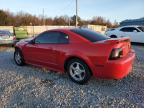 Lot #3024582580 2004 FORD MUSTANG