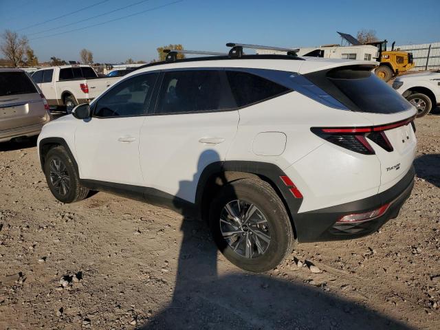 2023 HYUNDAI TUCSON BLU - KM8JBCA15PU089487