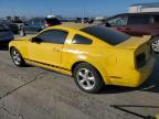 Lot #3029563074 2006 FORD MUSTANG