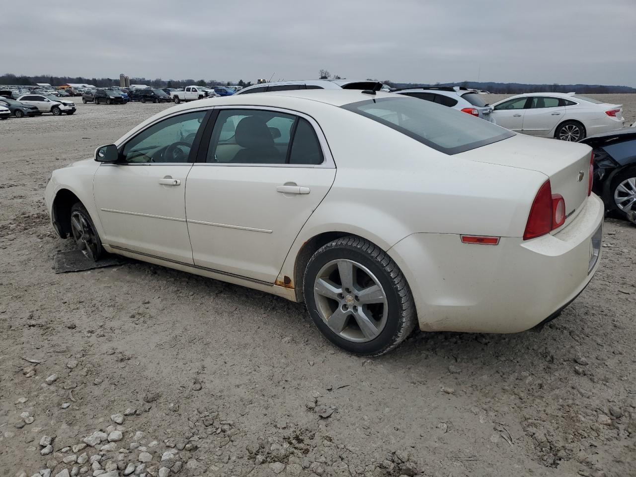 Lot #3034442729 2011 CHEVROLET MALIBU 1LT