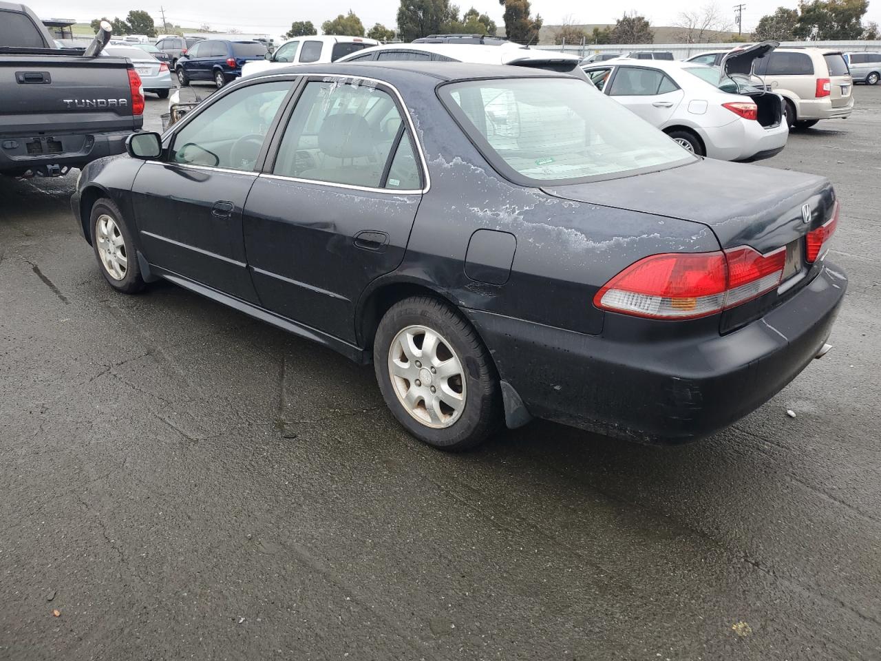 Lot #3028553928 2002 HONDA ACCORD EX