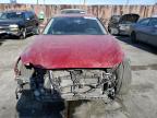 Lot #3033575085 2023 INFINITI Q50 LUXE