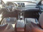 Lot #3030540467 2009 HONDA ACCORD EXL