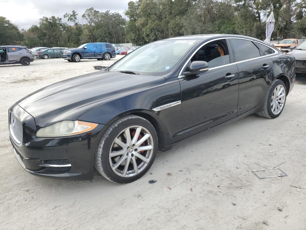 Lot #3027085869 2013 JAGUAR XJ