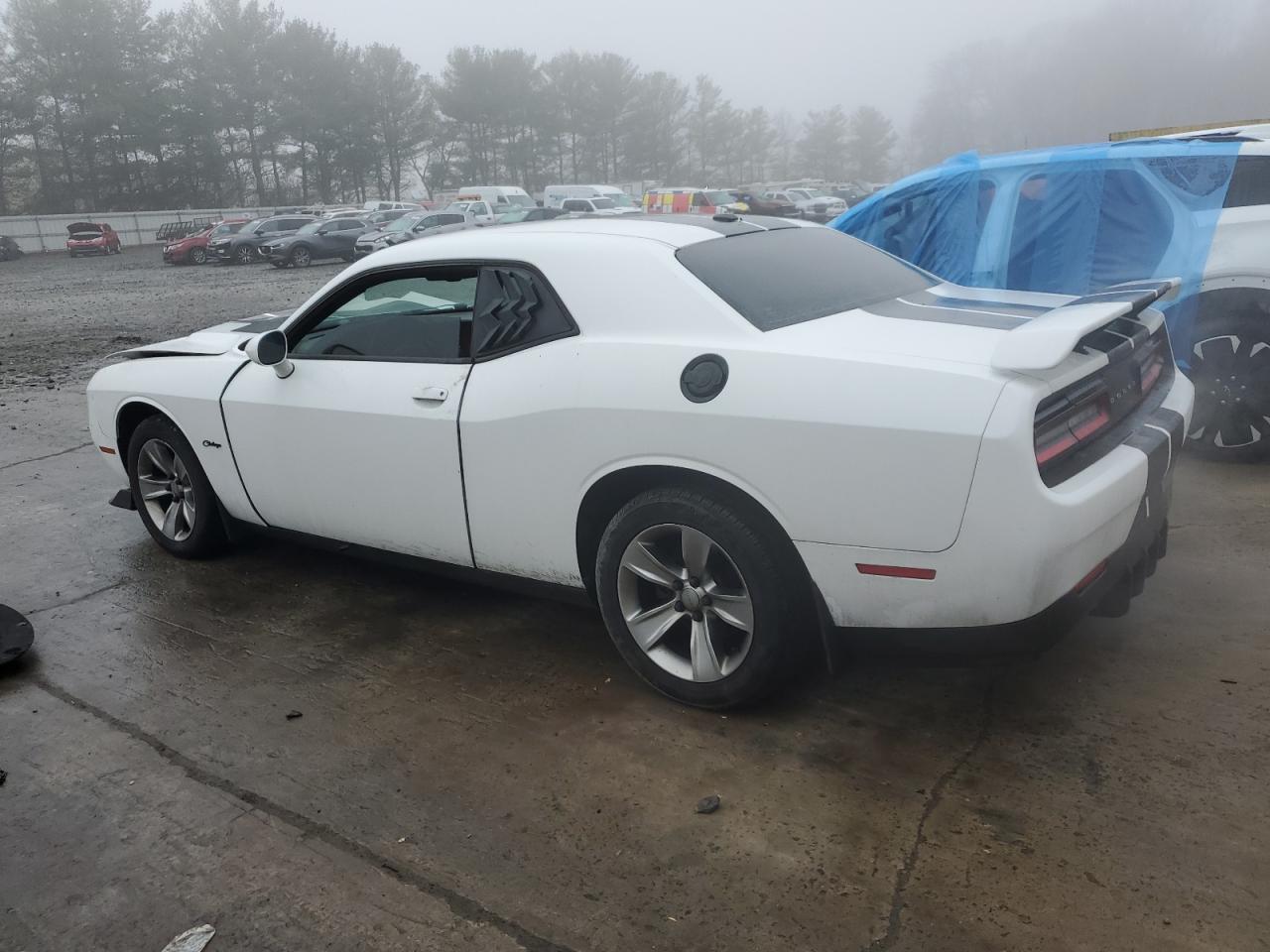 Lot #3034588747 2016 DODGE CHALLENGER