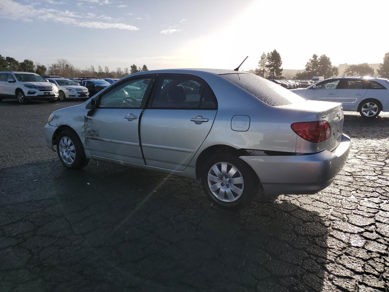 Lot #3028246831 2003 TOYOTA COROLLA CE