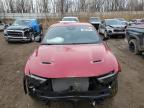 Lot #3027123821 2024 DODGE HORNET R/T