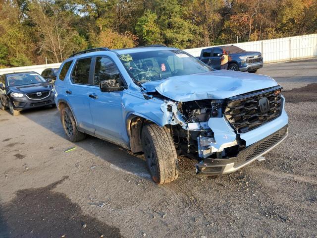 2024 HONDA PILOT TRAI 5FNYG1H62RB000786