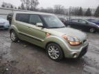 Lot #3025117279 2013 KIA SOUL