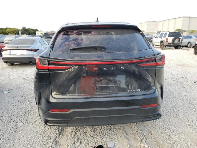 2024 LEXUS NX 250 BAS 2T2ADCAZ2RC008980