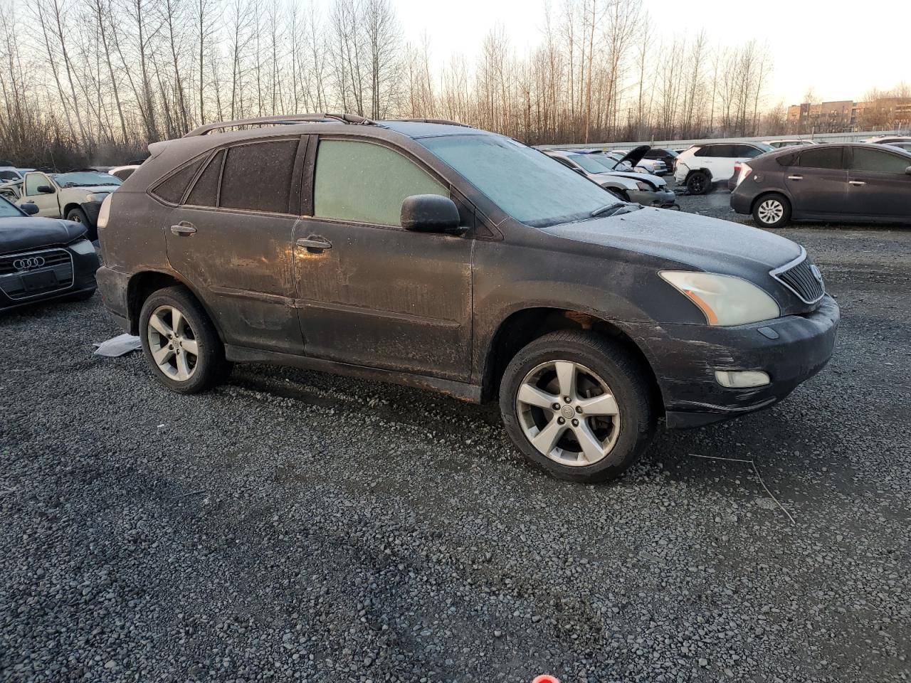 Lot #3023392313 2005 LEXUS RX 330