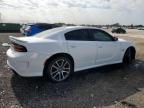 Lot #3041867425 2023 DODGE CHARGER R/